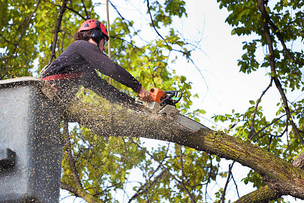 Soil Testing and Treatment in Youngsville, PA